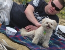 scruffa-mark-beach-rug