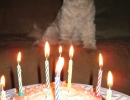 scruffa-candles-cake