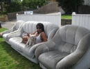 scruffa-sweenz-couch-lawn