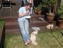 scruffa-mark-backyard-grass