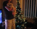 scruffa-mark-xmas-tree