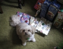 scruffa-xmas-pressies