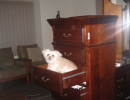 scruffa-drawer