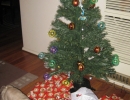 scruffa-xmas-tree