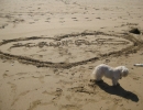 scruffa-beach-personalised-heart